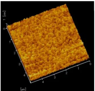 Fig. 2.9 Typical AFM image of NDLC surface prepared from C 6 H 6 and nitrogen 100 sccm