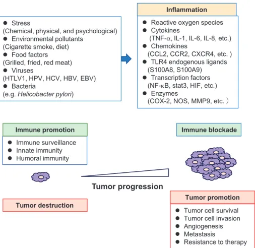 Figure 2 Chronic inflammation induces tumorigenesis. 