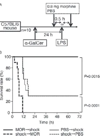 Figure 8 Timing  of  morphine  administration  affects  the  survival  rate  of  mice  with  LPS-mediated  lethal  endotoxic shock 61) .