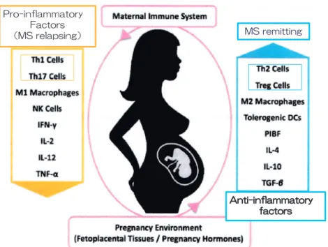 Figure 1 Maternal immunologic adaptations during pregnancy; multiple sclerosis. (Modi- Figure 1 Maternal immunologic adaptations during pregnancy; multiple sclerosis. (Modi-fied from reference 4) 2TQKPHNCOOCVQT[(CEVQTU Ტ/5 TGNCRUKPIᲣ #PVKKPHNCOOCVQT[HCEVQT