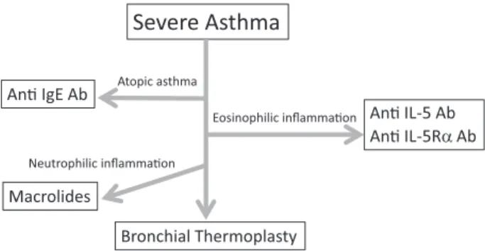 Figure 4 New therapeutic approaches to severe asthma. Modified from reference 2, p 107