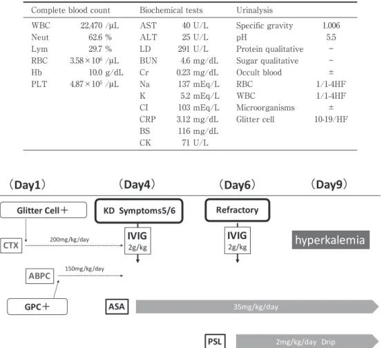 Figure 1 Clinical course.