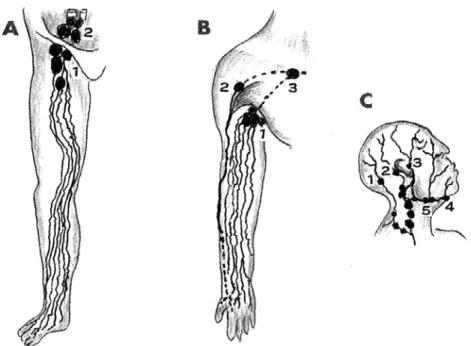 Figure 2 Illustrations of main lymphatic flows in the extremities, head and neck. 