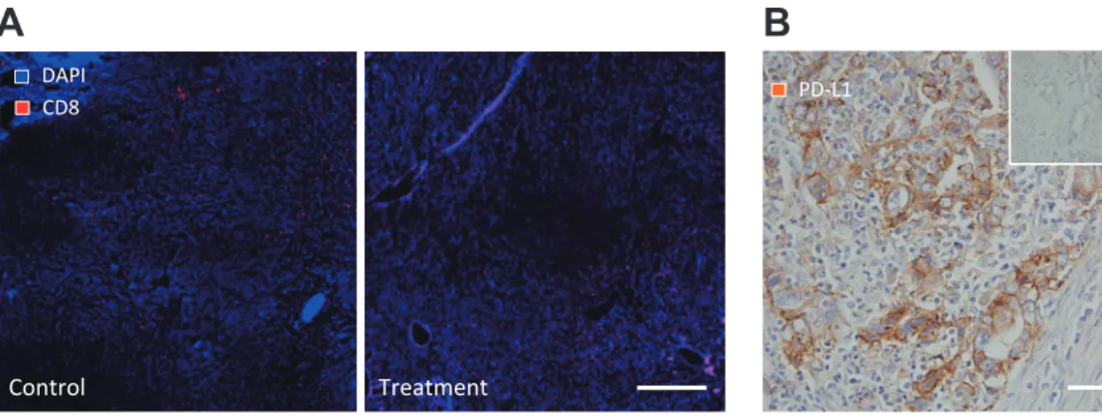 Figure 4 Anti-vascular therapy can modulate digestive tumor immune response.