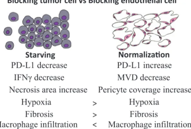 Figure 5 Targeting tumor VEGFR2 vs targeting en- Figure 5 Targeting tumor VEGFR2 vs targeting en-dothelial cell VEGFR2.