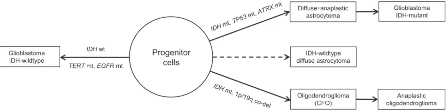Fig. 1 Genetic  aberrations  for  gliomagenesis  in  adults.  The  major  genetic  mutations  for  each glioma entity are shown. IDH-wildtype glioblastomas frequently possess mutations  in  the TERT  (telomerase  reverse  transcriptase)  and EGFR  (epiderm