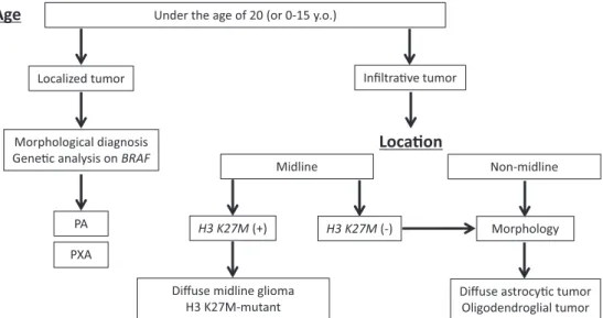 Fig. 3 Diagnostic scheme for pediatric gliomas. Glioma cases under the age of 20 should   be classified into localized (circumscribed) or infiltrative (diffuse) tumors. Subsequent mo-lecular genetic testing enables accurate integrated diagnoses for each tu