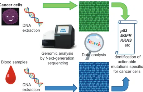 Fig. 1 Procedure for cancer clinical sequencing.