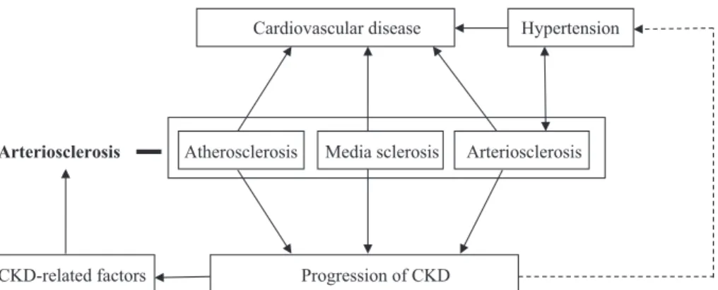 Fig. 3 Arteriosclerosis and chronic kidney disease