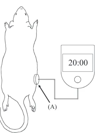 Fig. 1 LIPUS stimulation conditions (A) is the LIPUS stimulation head unit.