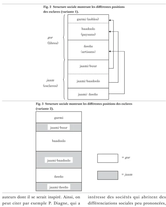 Fig. 2  Structure sociale montrant les diﬀ érentes positions  des esclaves (variante 1).
