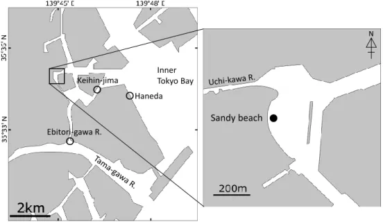 Fig. 2 Monthly changes of water temperature（WT: circles）and salinity（S: