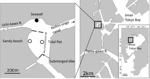 Fig. 1 Map showing the sampling site（solid circle）at a seawall in Furuhama Park of Ota City in the inner Tokyo Bay.