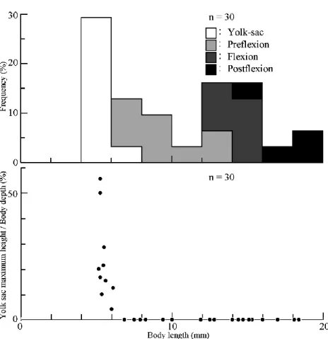 Fig. 4 Size frequency distribution for developmental stages（top）and absorp- absorp-tion process of yolk with growth（bottom）in Salanx ariakensis larvae（yolk sac maximum height: see Fig