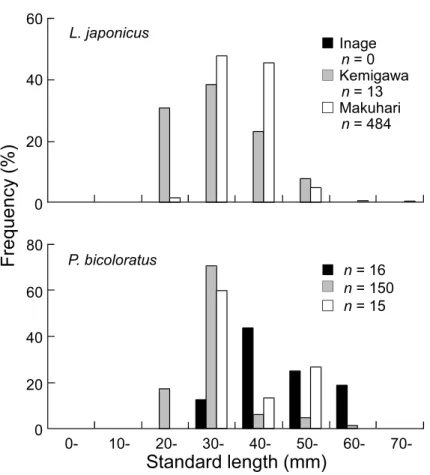 Fig. 7 Frequency distributions of standard lengths of the two most domi- domi-nant fish species, Lateolabrax japonicus and Platichthys bicoloratus,  col-lected on each artificial sandy beach in May 2018.