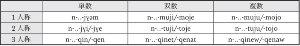 表 1.  N 形の人称・数による語形変化表