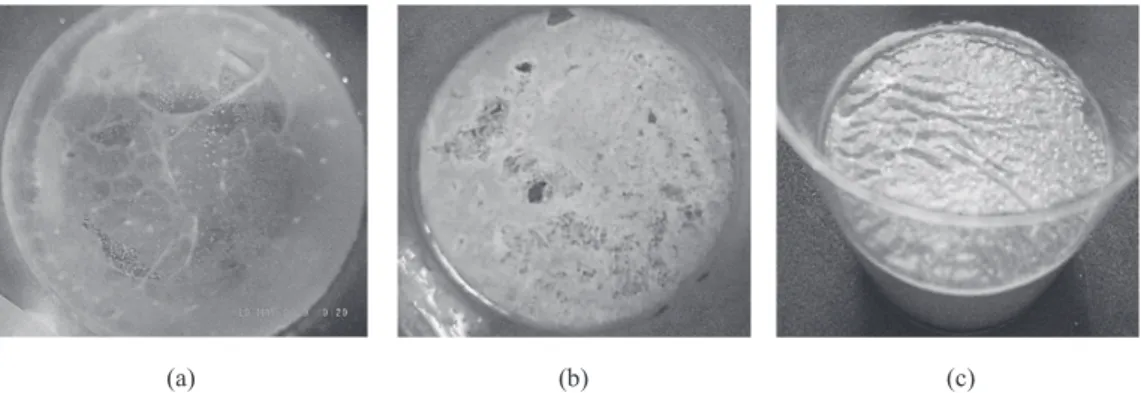 Fig. 3. Formation of floating mixed biofilms nourished with different amounts of nutritional granules