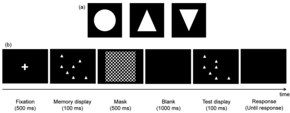 Figure 1. (a) Simple geometric shapes used in the present study. (b) A schematic representation of the procedure used in the  present experiment