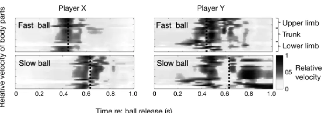 Figure 2. Structure of cognitive-motor processes in softball batting. The path diagram is shown with standardized path coef- coef-ficients