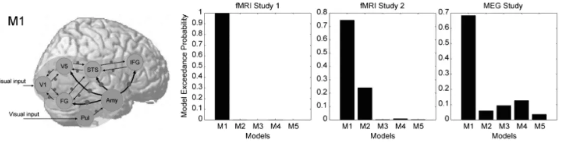 Figure 2. Study by Sato et al. (2017)．Left) The hyothesized model (M1) in dynamic causal modeling