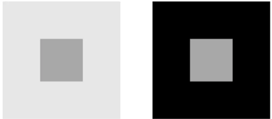 Figure 1. Typical patterns of simultaneous lightness contrast. The two small gray squares have equal reflectance, but the  square surrounded by light gray appears darker than the square surrounded by black.