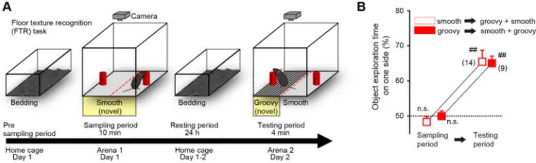 Figure 4. Optogenetic inactivation of M2 axons impairs memory consolidation.