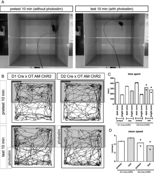Figure 3. Acquisition of place preference and aversion by optogenetic manipulation of D1 neurons and D2 neurons in the  anteromedial olfactory tubercle.