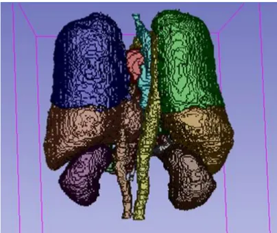 図 2.3: 胸部から腹部における臓器の 3D モデル． 3D Slicer を用いてラベルをボリュー ムレンダリングして作成している．セグメンテーション対象の主要な臓器が含まれてい る．各臓器と色の対応は，右肺 (Blue) ，左肺 (Lime) ，心臓 (Red) ，大動脈 (Yellow) ， 食道 (Cyan) ，肝臓 (Coral) ，胃 (Green) ，脾臓 (Orange) ，右腎臓 (Purple) ，左腎臓 (Sienna) ，下大静脈 (Chocolate) ，膵臓 (Brown) で