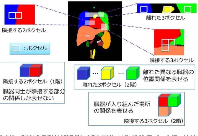 図 2.6: 1 階と高階の違い (2 階の例)．高階を用いた方がセグメンテーションに，より多 くの情報を用いることができる． 用いることや， 3 つの離れた臓器の情報を用いることが可能になるということがメリッ トとして挙げられる．デメリットとしては，高階エネルギーを用いると，セグメンテー ションの実行時間がかかることや，実行に必要なメモリが階数に応じて増える，エネル ギーの設計が複雑になることが挙げられる．