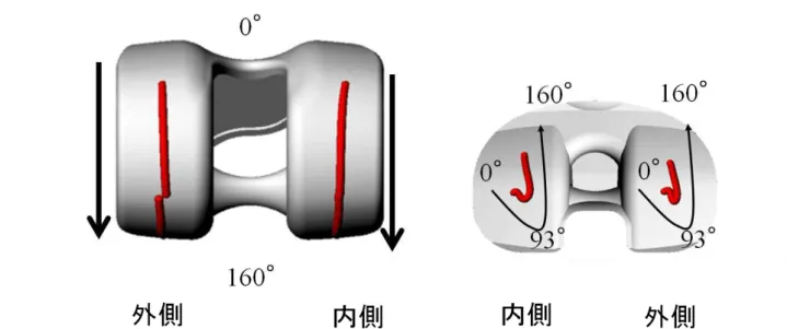 図 4.3  後 十 靭 帯 持 大 腿 脛 骨 接 触 点 軌 跡