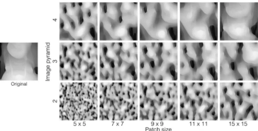 Figure 4. Synthesized images for a height map. The algorithm of Kwatra et al.  （2005）  was applied to the original images