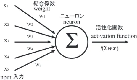 Figure 1. A schematic description of a neuron.