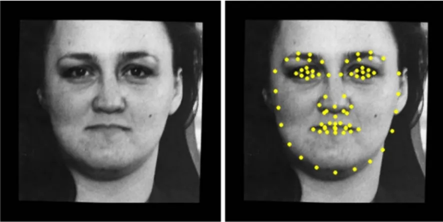 図 2.2 : Active Shape Models によって得られる顔の制御点．左の入力画像に対して， 右に黄色くプロットされた 76 点の制御点位置が得られる． 図 2.3 : 左：入力画像． 中央：正準化に用いる制御点 3 点と，両目の制御点を結んだ線 分 l 1 ． 右：線分 l 1 を水平がなるように回転した画像に，線分 l 1 ，線分 l 2 ，交点 t を示 したもの ．この正準化によって形状 v は位置合わせ，顔向きの調整，顔サイズの調整が行 われる．