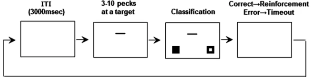 Figure 1. A schematic drawing of the task used for testing birds.