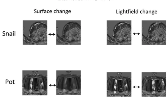 Figure 2. Preferential looking ratio in change detection  paradigm. 3- to 4-month-old infants preferred to look  at the lightfield change target, however the preference  disappeared in 5-month-olds