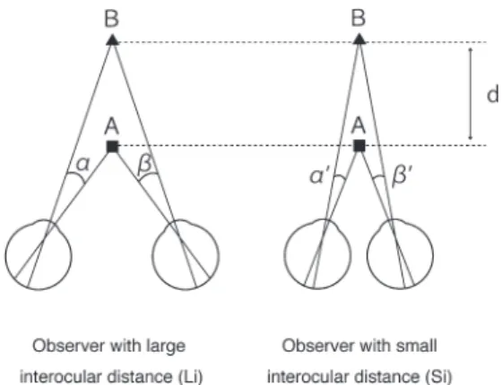 Figure 4. A schematic illustration for how the individual difference in inter-ocular distance changes the  scaling gain  and  the stereoscopic depth estimation.