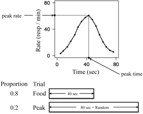 Figure 1. A typical peak function  （top panel）  obtained by the peak-interval procedure with FI 40-s training  （bottom panel） 