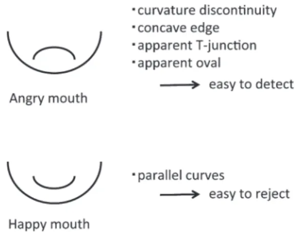 Figure 1. Relationships between the mouth and the  contour in angry and happy faces.