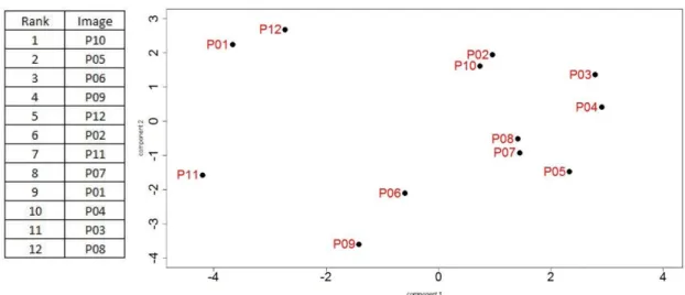 Figure 5.7 Comparison between PCA Map and Ranking by subject 1 