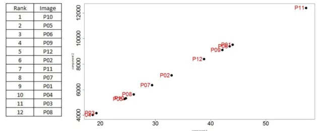 Figure 5.8 Comparison between SVD Map and Ranking by subject 1 