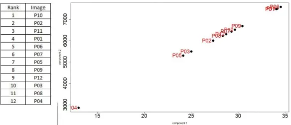 Figure 5.14 Comparison between SVD Map and Ranking by subject 4