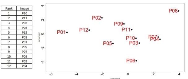 Figure 5.18 Comparison between SVD Map and Ranking by subject 6