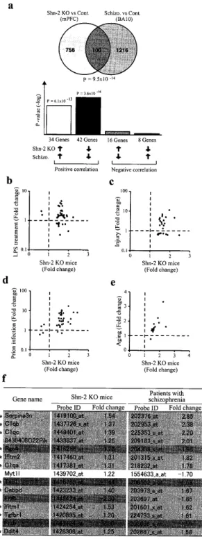 Figure 　 6 ． 　 Gene 　 expression 　 in 　 the 　 brain 　 of 　 Shn− 2 　 KO 　 mice ． ω Comparison 　 of 　 expression 　 pro 創 es 　 between 　genes 　 expressed 　 in 　 the 　 medial 　 prefrontal　 certex 　 of 　 Shn − 　 2KO 　 mice 　 and 　 Brodmann 　 area （ BA ） 100f 　 