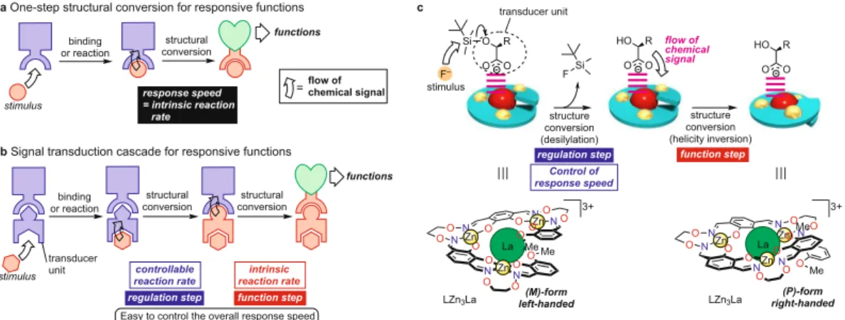 Figure 1.   Concept and design of responsive functional systems based on a regulatory enzyme-like strategy