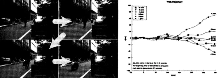 Figure 　 4 ． 　 Walking 　 indugement 　 trajectories （ ToP 　 View ）｛ Right ） ．