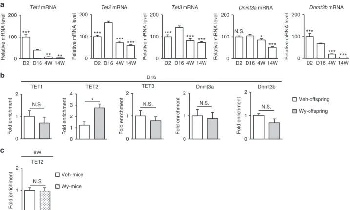 Fig. 5 Enhanced recruitment of TET2 to Fgf21 promoter in Wy-offspring at D16. a Hepatic Tet1, Tet2, Tet3, Dnmt3a, and Dnmt3b mRNA expression in mice from D2 to 14W (n = 4–8 per group, statistics by one-way ANOVA with Tukey’s multiple comparison test)
