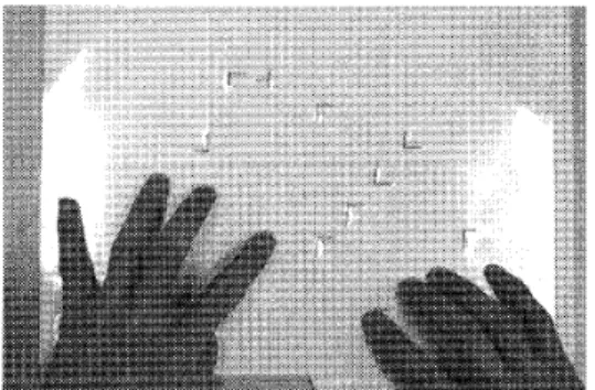 Figure 1. The search array used in the transfer phase.