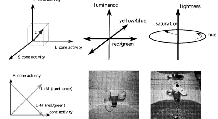 Figure 　 2 ， 　 Transformation 　 of 　 color 　 space 　 from 　 cone 　 space 　 to 　 the 　 space 　 for 　 final 　 color 　 perception （ top