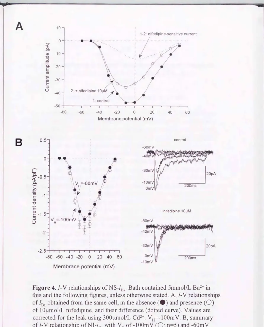 Figure  4.  1- V  relationships of  NS-1Ba.  Bath contained  5mmolIL  Ba2+ in  白is and  the  following  figuresヲunless otherwise stated