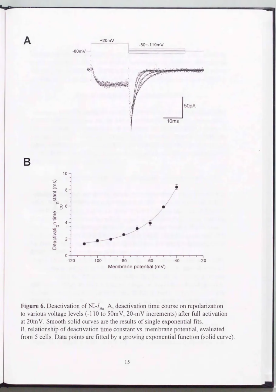Figure  6.  Deactivation  ofNI-lBa.  Aヲdeactivation time course  on repolarization  to  various  voltage  levels  (-110 to 50m Vヲ20-mV increments) after full  activation  at 20m V